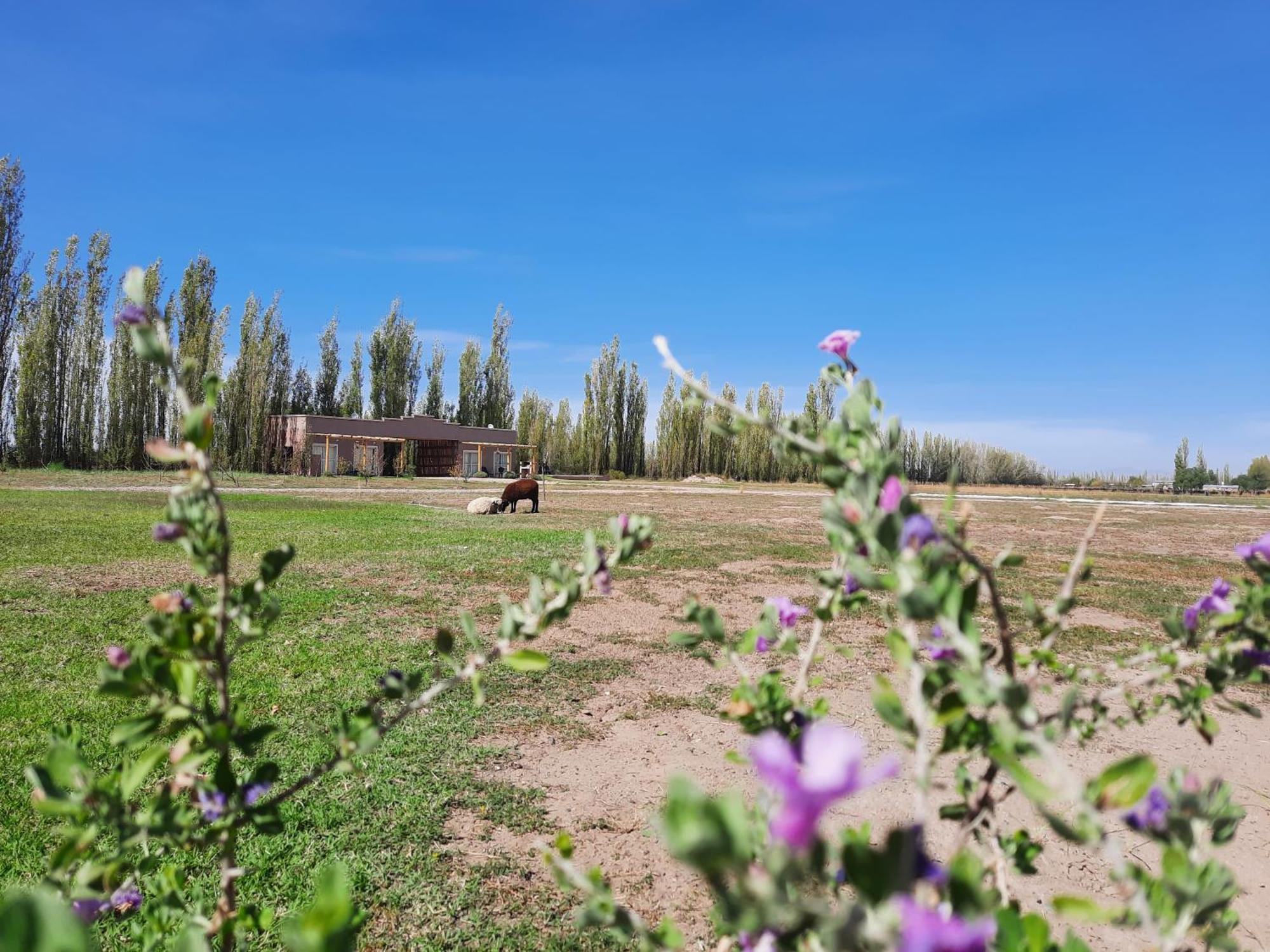 Finca Los Racimos - Casa Syrah Villa San Rafael  Exterior photo